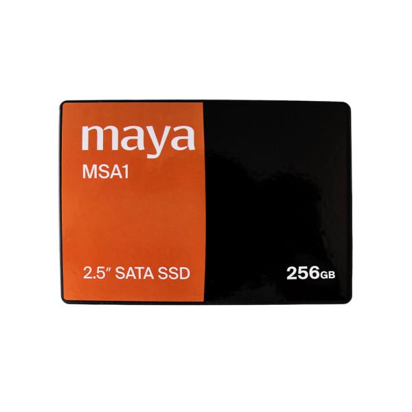 Internal SSD MSA256 SATA 256GB